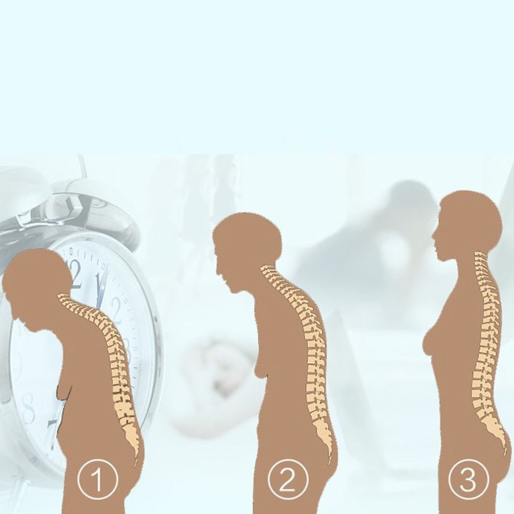 Comfortable Posture Support for Daily Use